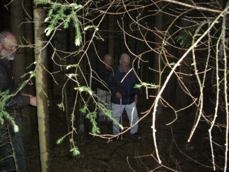 The location of the crash site of 42-3157 