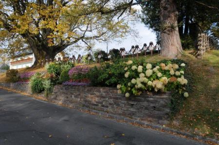Military cemetery autumn